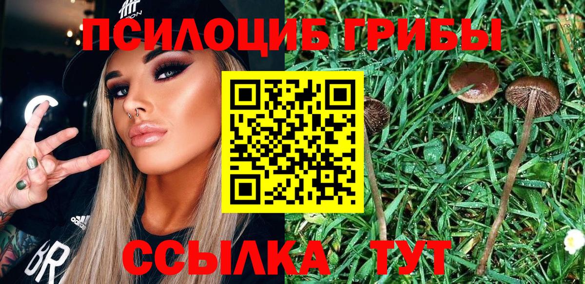 Галлюциногенные грибы Cubensis Полевской